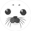 Blakeney Point Seal Trips